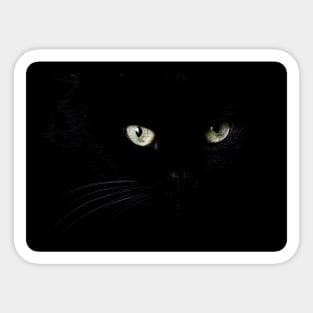 Black cat face and eyes Sticker